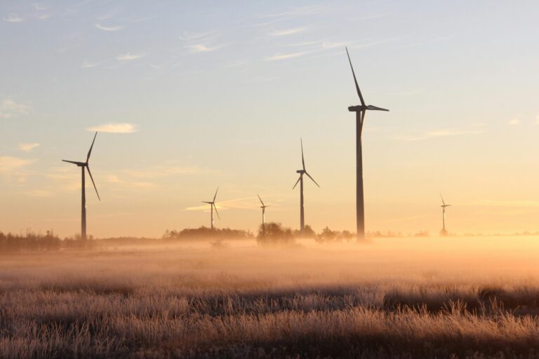 Trump exige que l’Europe cesse de construire des éoliennes et ferme ses frontières !