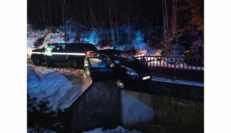 Une manifestante libérale se retrouve dans un lac après avoir oublié de mettre sa voiture au point mort