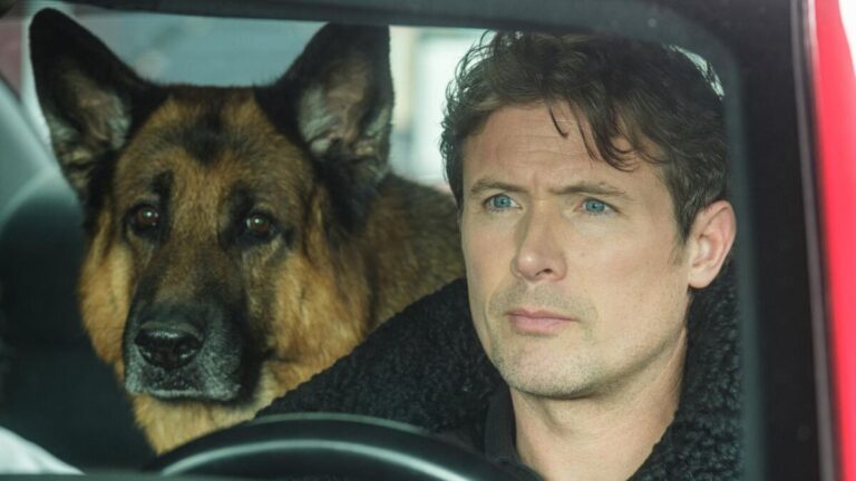 Un acteur de série déclenche une onde d’indignation après l’attaque mortelle de son chien